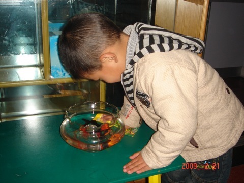 DSC00306.JPG