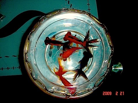 DSC00307.JPG